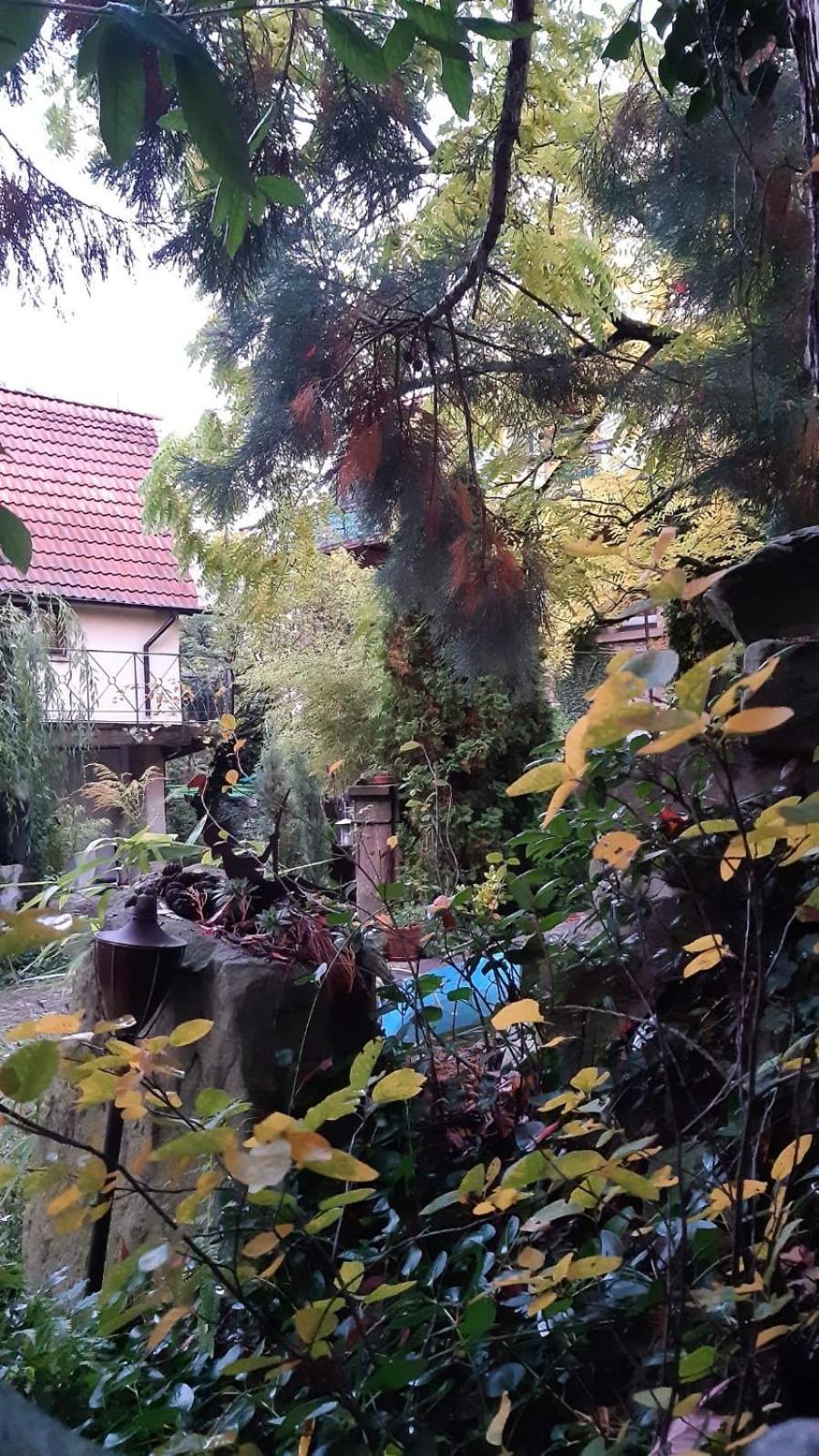 Villa "Casita Linda "Am Donnersberg Dannenfels Exterior foto
